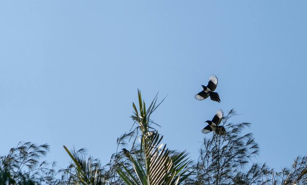 Hoe kun je gezonde snacks kiezen die bijdragen aan gewichtsverlies?