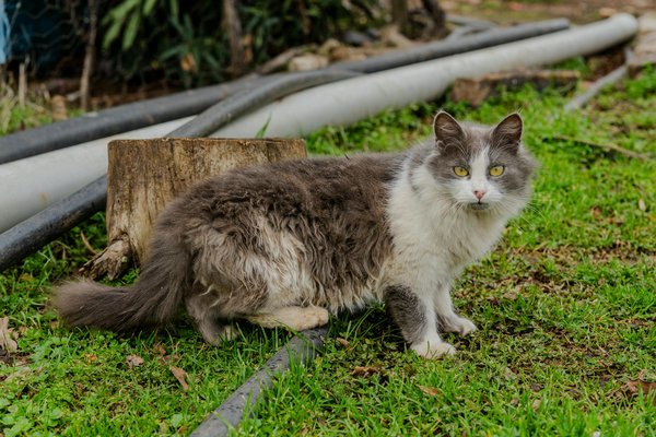 Hoe kan ik mijn grenzen stellen in relaties voor een beter welzijn?